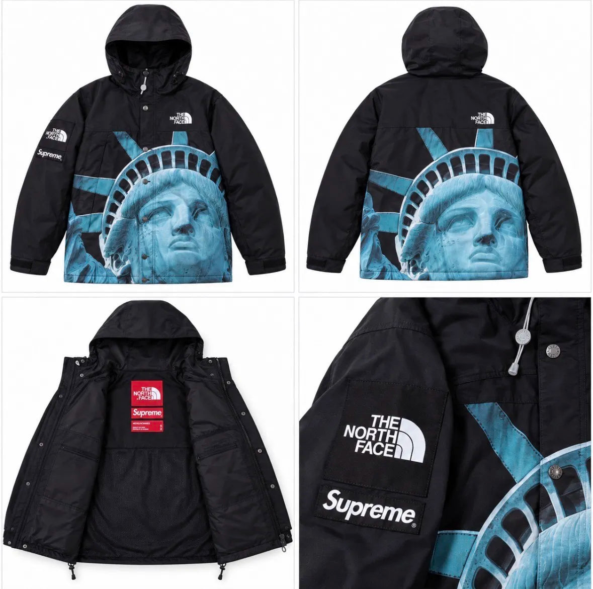 Supreme x North Face Statue Of Liberty Jacket